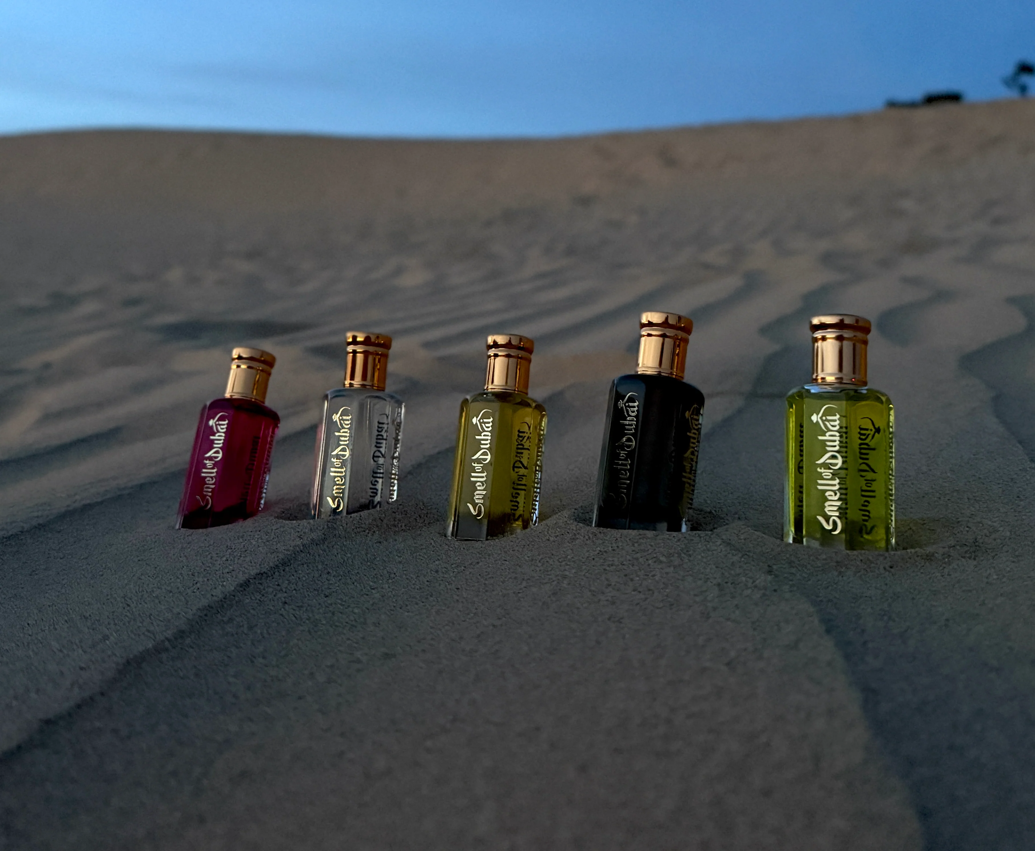 Capture the Essence of Luxury